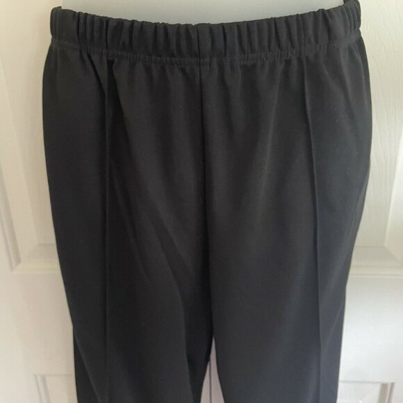 Sara Morgan Pull On Pants 2X - Picture 1 of 3